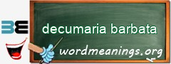 WordMeaning blackboard for decumaria barbata